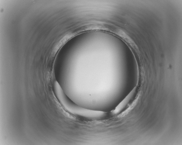 X0000070410993200606161406