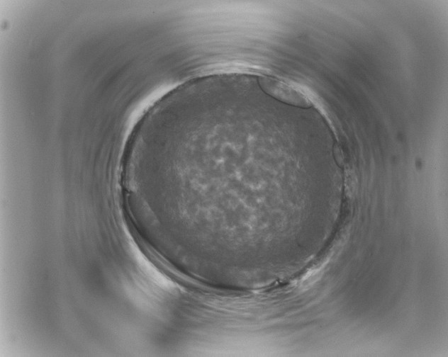 X0000070410995200606161406