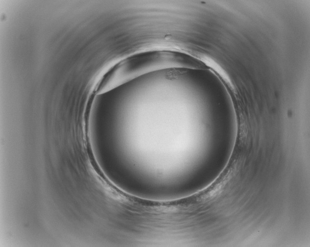 X0000070410996200606161406