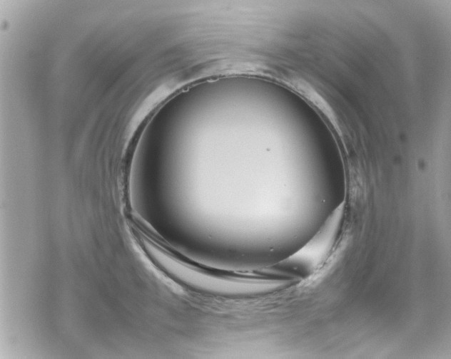 X0000070410997200606161406