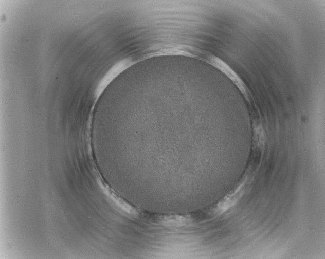 X0000070411002200606161406