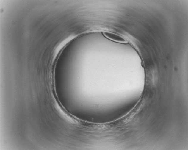 X0000070411003200606161406