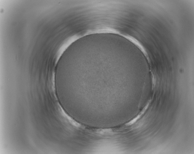 X0000070411006200606161406