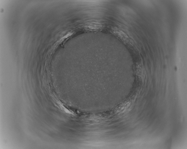 X0000070411009200606161405