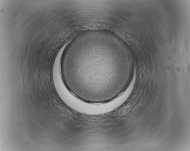 X0000070411010200606161405