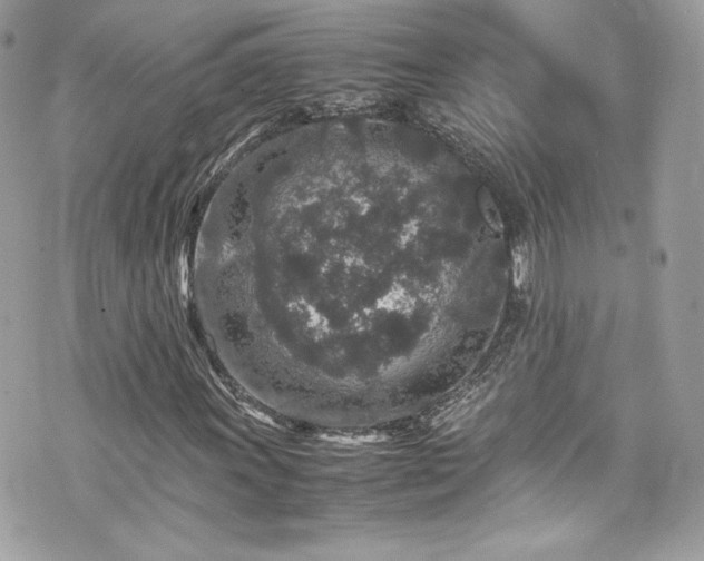 X0000070411011200606161405