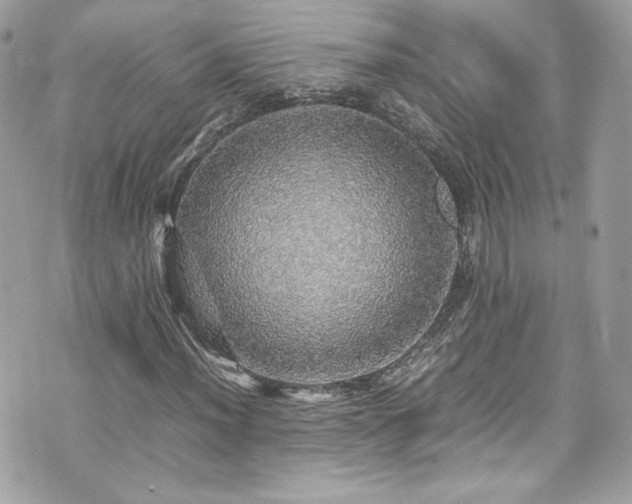 X0000070411012200606161405