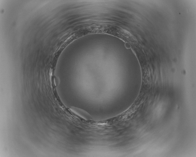 X0000070411013200606161405