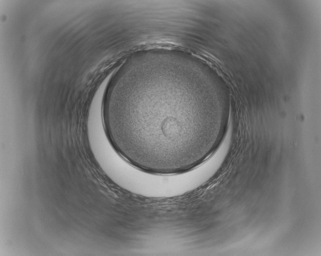 X0000070411014200606161405