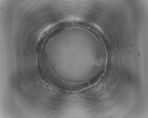 X0000070411016200606161406