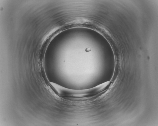 X0000070411018200606161406