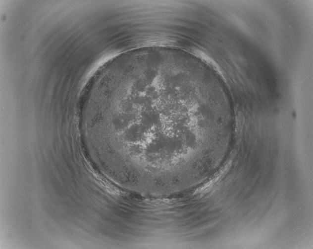 X0000070411019200606161406