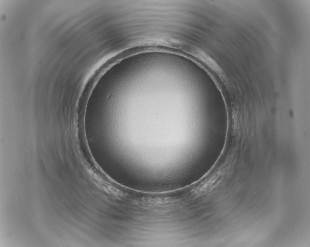 X0000070411020200606161406