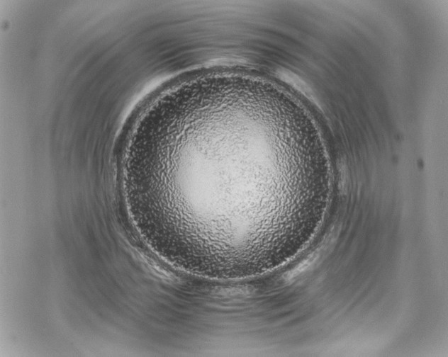 X0000070411021200606161406