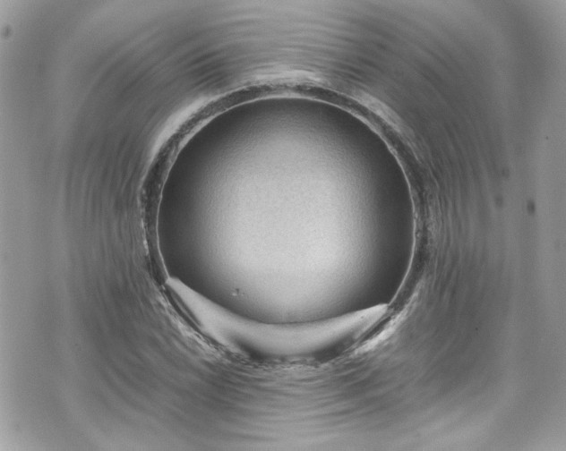 X0000070411022200606161406