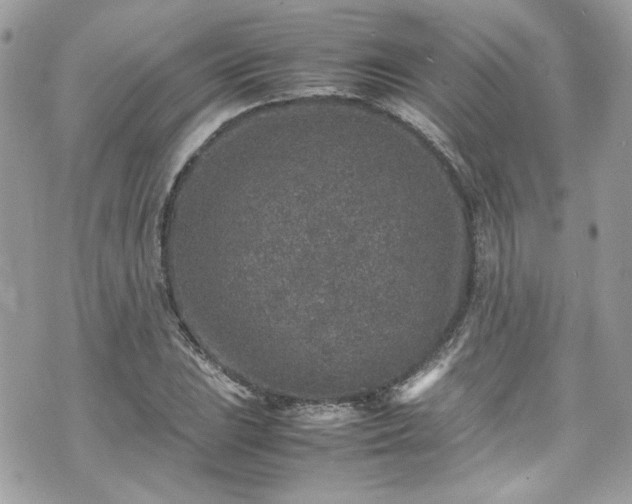 X0000070411023200606161406