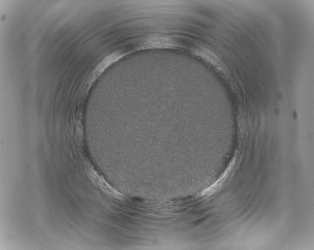 X0000070411025200606161406