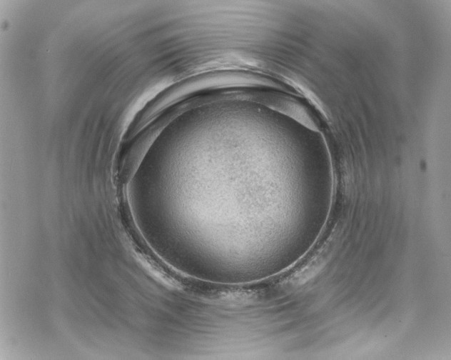 X0000070411026200606161406