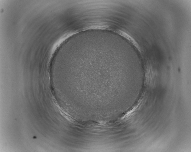 X0000070411027200606161406