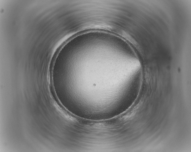 X0000070411028200606161406