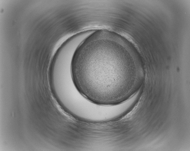 X0000070411030200606161406