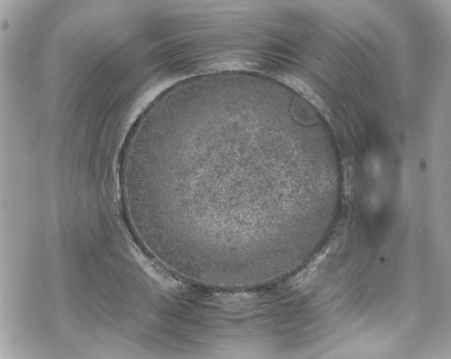 X0000070411031200606161406