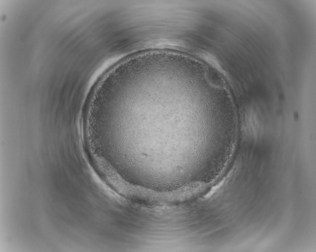 X0000070411032200606161406