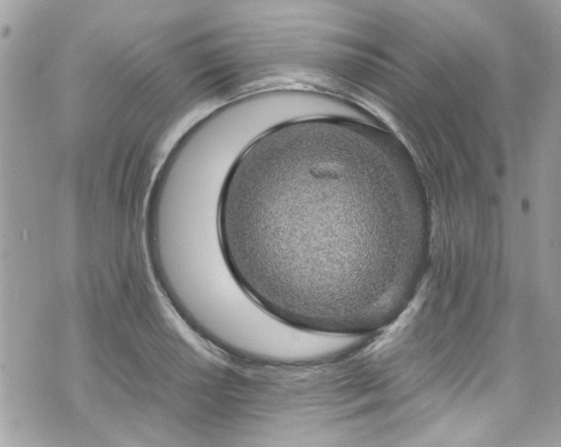 X0000070411034200606161406