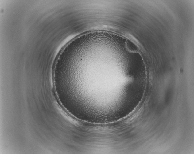 X0000070411036200606161406