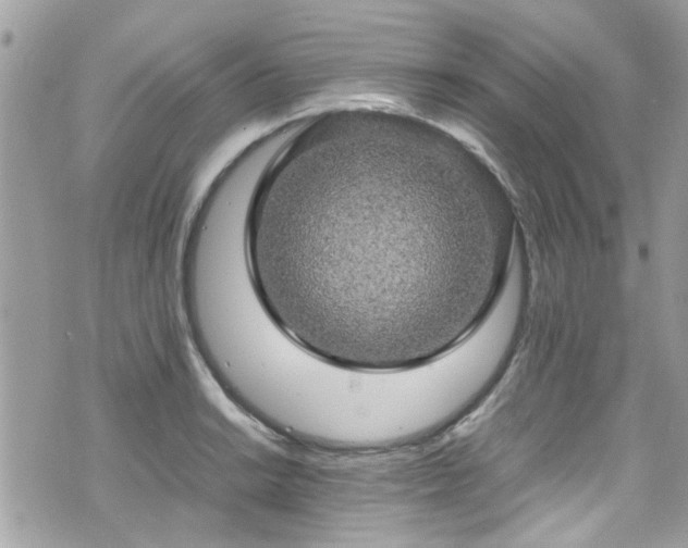 X0000070411038200606161406