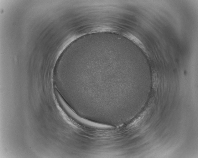 X0000070411039200606161406