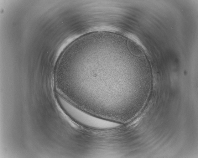 X0000070411040200606161406