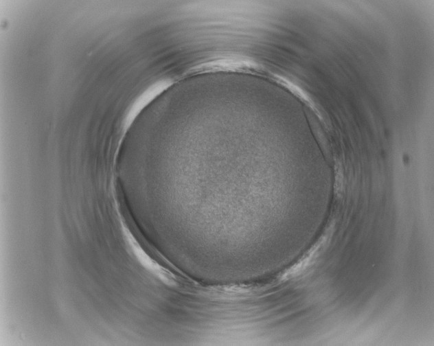 X0000070411042200606161406