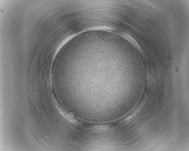 X0000070411044200606161406