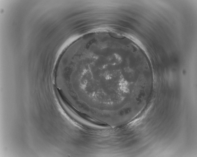 X0000070411045200606161406