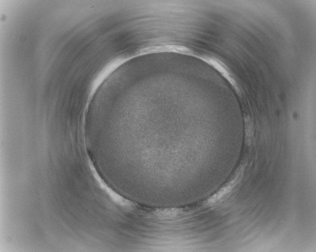 X0000070411046200606161406