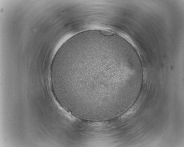 X0000070411048200606161406