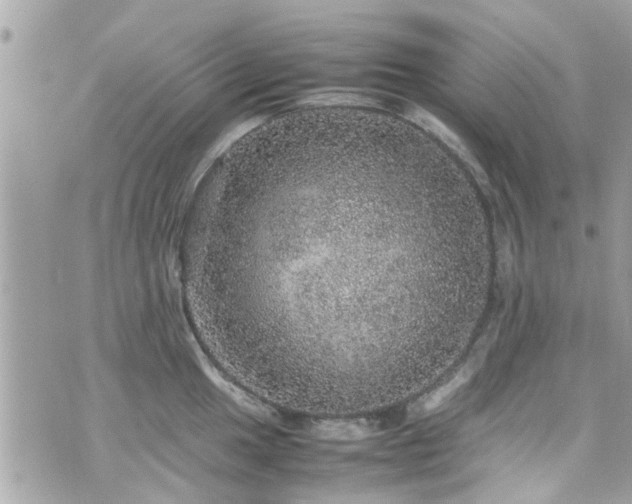 X0000070411049200606161406