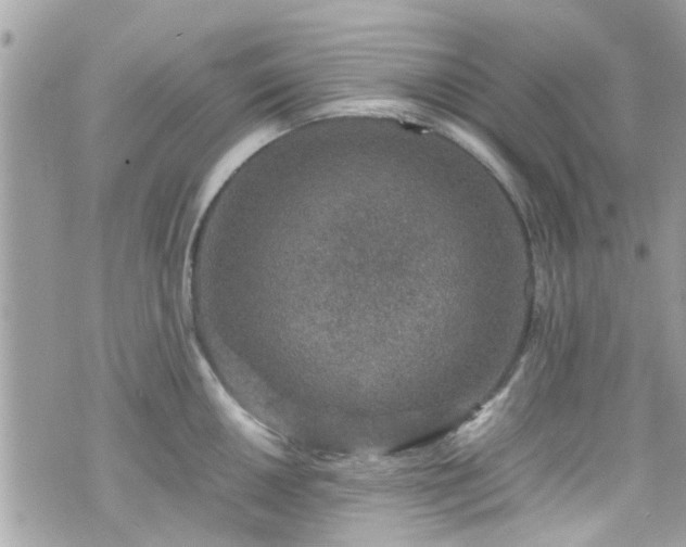 X0000070411050200606161406