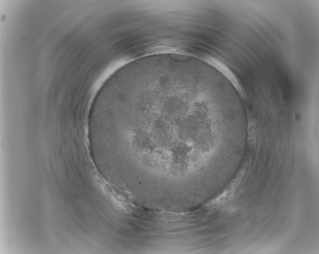 X0000070411051200606161406