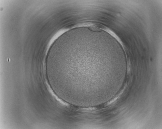 X0000070411053200606161406