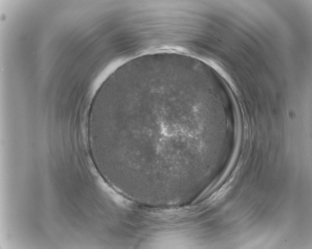 X0000070411054200606161406