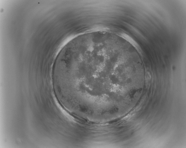 X0000070411055200606161406