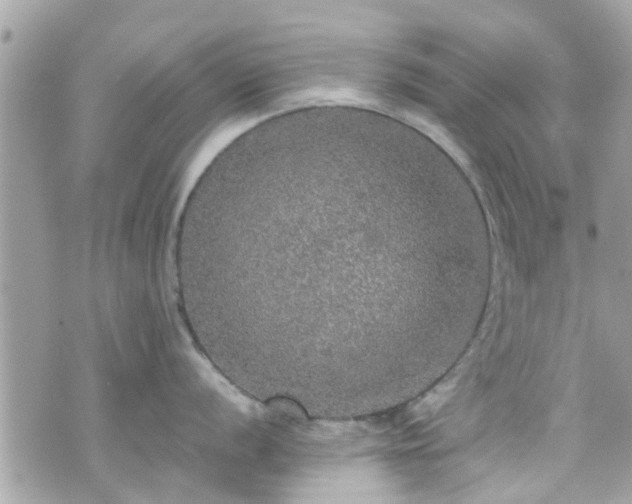 X0000070411056200606161406