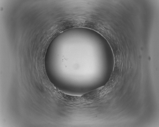 X0000070411057200606161405