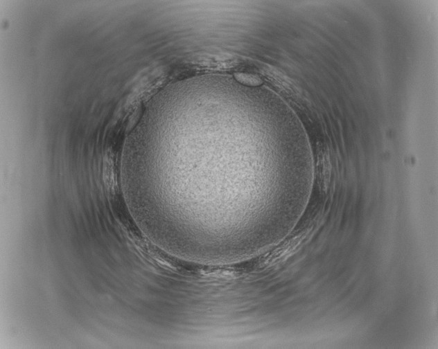 X0000070411058200606161405