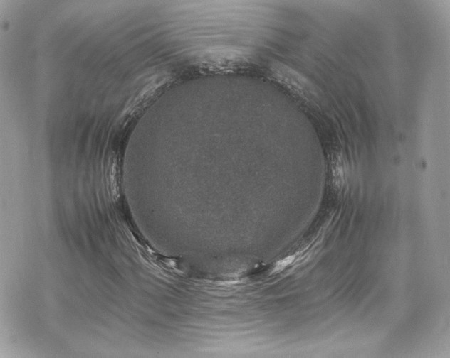 X0000070411060200606161405