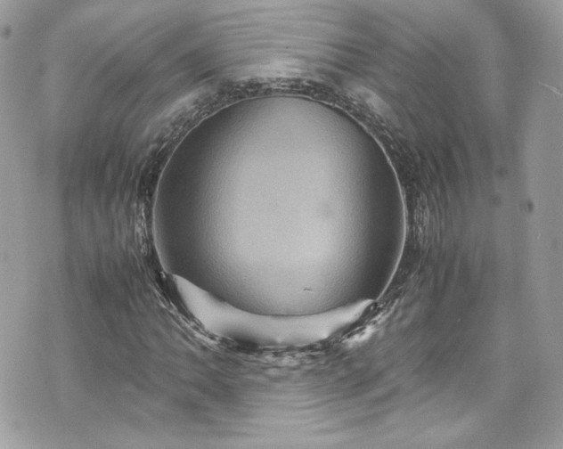 X0000070411062200606161405