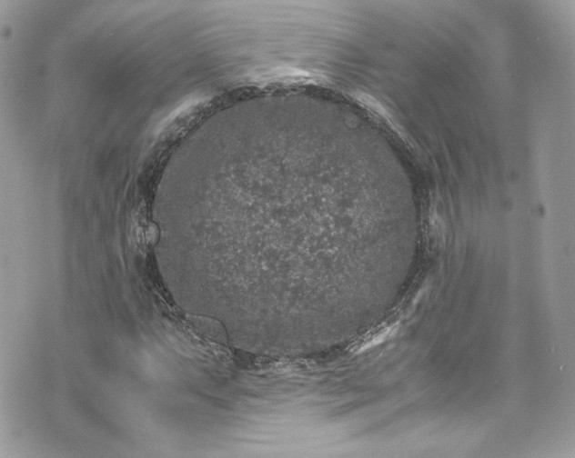 X0000070411063200606161405