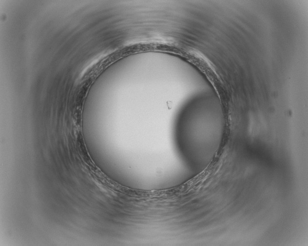 X0000070411064200606161405